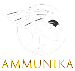 Лого Ammunіka